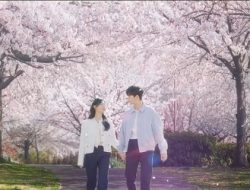Capai 24,8 Persen, QOT Drama TVN Rating Tertinggi