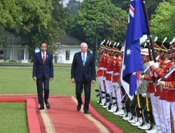 Ini yang Dibahas! Jokowi Terima Gubernur Jenderal Australia