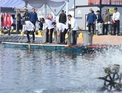 Kunjungan ke Karawang, Jokowi Resmikan Modeling Tambak Nila