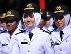 Siap-Siap, Mei 2024 Seleksi CPNS Sekolah Kedinasan Dibuka!