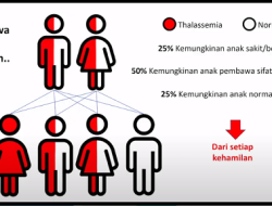 Mengenal Talasemia Kelainan Darah yang Diturunkan
