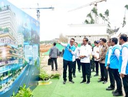 Jokowi Minta Optimalkan Pemanfaatan Energi Hijau di IKN
