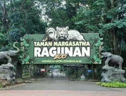 Libur Maulid Nabi: Ragunan dan TMII Tetap Buka pada 16 September 2024, Simak Jadwalnya
