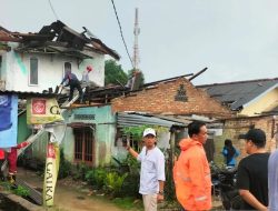 Angin Puting Beliung Tumbangkan Pohon di Pangkalpinang