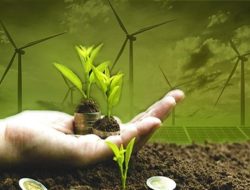 Menuju Ekonomi Hijau: Pentingnya Roadmap dan Regulasi yang Jelas