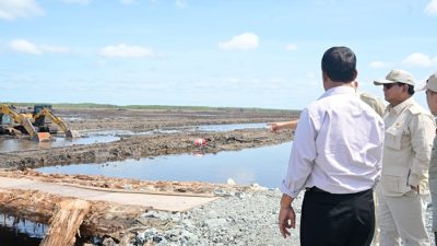 Target 1 Juta Hektar Sawah Baru, Prabowo Kunjungi di Desa Wanam, Merauke