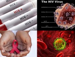 Dinkes Kapuas Hulu Catat 31 Kasus HIV/AIDS Tahun Ini