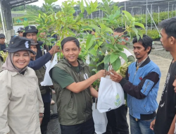 Menteri Kehutanan Bagikan 1.250 Bibit Gratis di Mentawir