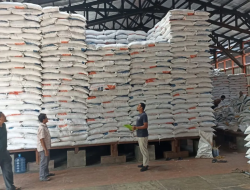 Bulog Putussibau Pastikan Stok Beras Cukup Hingga Awal 2025