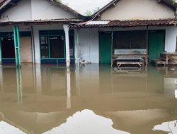 Banjir Terjang Dusun Beluk Jombang, Ratusan Rumah Terendam