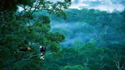 Kalimantan Dinobatkan Sebagai Destinasi Impian Asia 2025