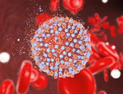 Gejala HMPV, Virus Baru yang Mewabah di China