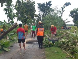 Perkembangan Situasi dan Penanganan Bencana Tanggal 9 Februari