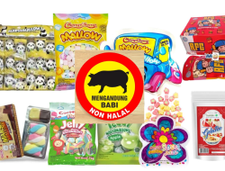 KPAI Minta Sanksi Tegas untuk Produsen Makanan dengan Unsur Babi yang Tercantum Logo Halal