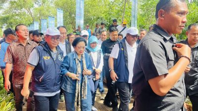 Gubenur DKI Jakarta, Pramono Anung bersama Presiden ke-5 RI Megawati Soekarnoputri menanam bibit mangrove di kawasan Hutan Lindung Angke Kapuk