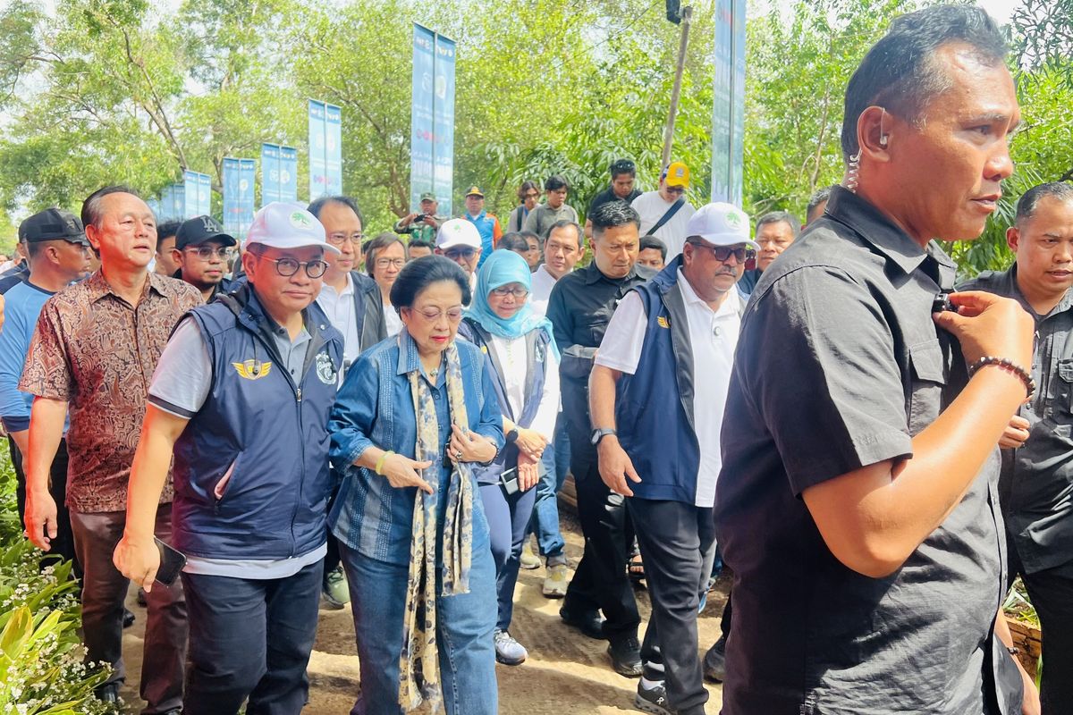 Gubenur DKI Jakarta, Pramono Anung bersama Presiden ke-5 RI Megawati Soekarnoputri menanam bibit mangrove di kawasan Hutan Lindung Angke Kapuk