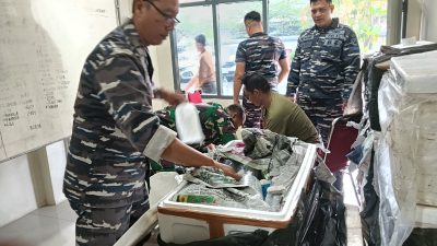 Aksi Penyelundupan Benih Lobster di Jambi Digagalkan TNI AL