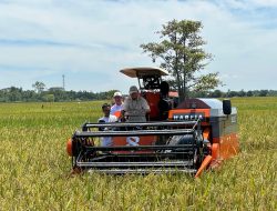 BULOG Optimalkan Penyerapan Gabah untuk Wujudkan Swasembada Pangan Nasional