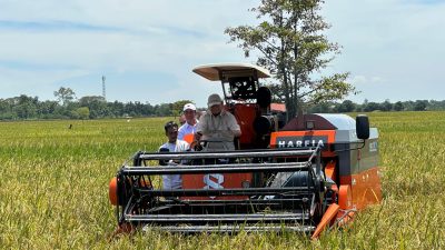 Tembus 1 Juta Ton, BULOG Terus Optimalkan Penyerapan Manfaatkan Momentum Panen Raya.