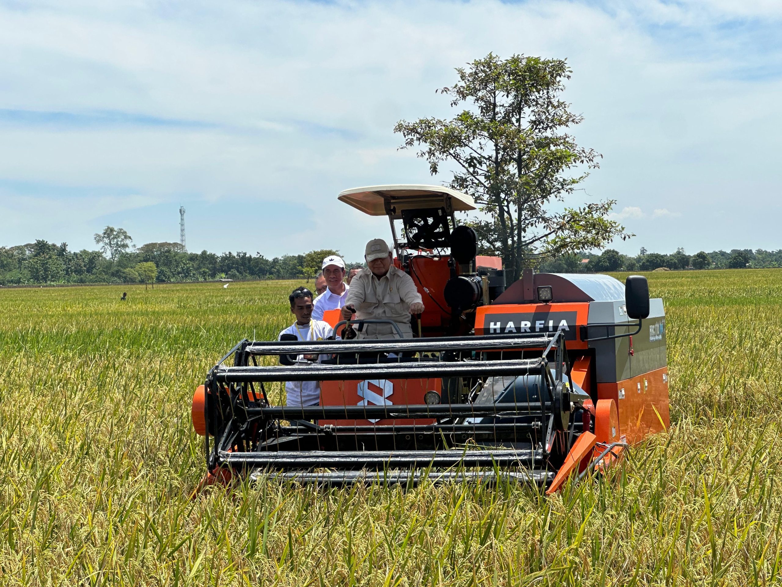 Tembus 1 Juta Ton, BULOG Terus Optimalkan Penyerapan Manfaatkan Momentum Panen Raya.