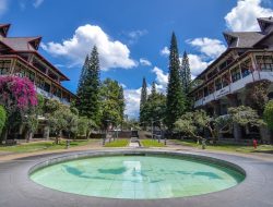 Penangkapan Mahasiswi Pembuat Meme Jokowi-Prabowo Dikecam Amnesty, Dinilai Langgar Hak Ekspresi