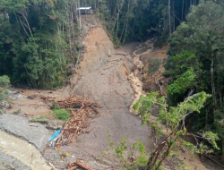 Basarnas Intensifkan Pencarian 19 Warga Hilang Akibat Banjir Bandang di Pegunungan Arfak