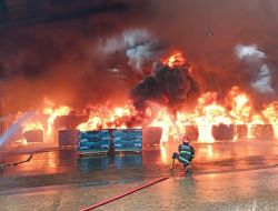 Kebakaran Hebat Landa Pabrik Karet PT Teluk Luas Padang, Dua Gudang Dilalap Api