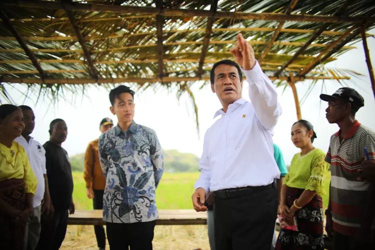 Tinjau Lapangan, Gibran dan Amran Siapkan Terobosan Pertanian NTT