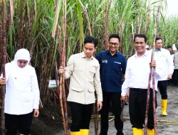 Pemerintah Genjot Swasembada Gula, Target Tercapai Sebelum 2028