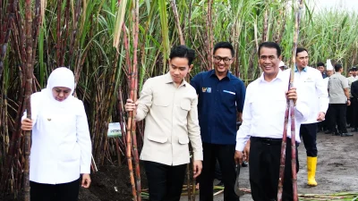 Pemerintah Genjot Swasembada Gula, Target Tercapai Sebelum 2028
