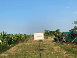 KPK Sita Empat Aset Terkait Kasus Korupsi Dana Hibah Pokmas di Jawa Timur