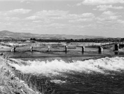 Cuaca Ekstrem Landa Ambon: Longsor Dan Banjir Meluas, Satu Korban Jiwa Dilaporkan