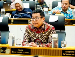 Bapanas Usulkan Anggaran Rp16,10 Triliun Tahun 2026 untuk Perkuat Ketahanan dan Stabilisasi Pangan