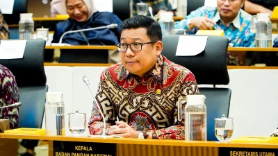 Kepala Badan Pangan Nasional (Bapanas) Arief Prasetyo Adi