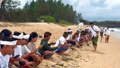 BTID melepasliarkan tukik maknai hari suci "Tumpek Kandang"