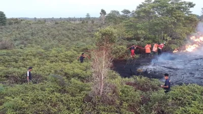 Ilustrasi - Kebakaran lahan gambut