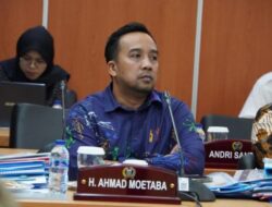 Rokok Ilegal Kian Merebak, Pansus KTR DPRD DKI Desak Larangan Peredaran