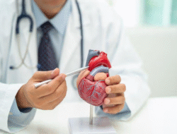 Indonesia Miliki Dokter dan Teknologi Jantung Unggulan, Tak Perlu Lagi ke Malaysia