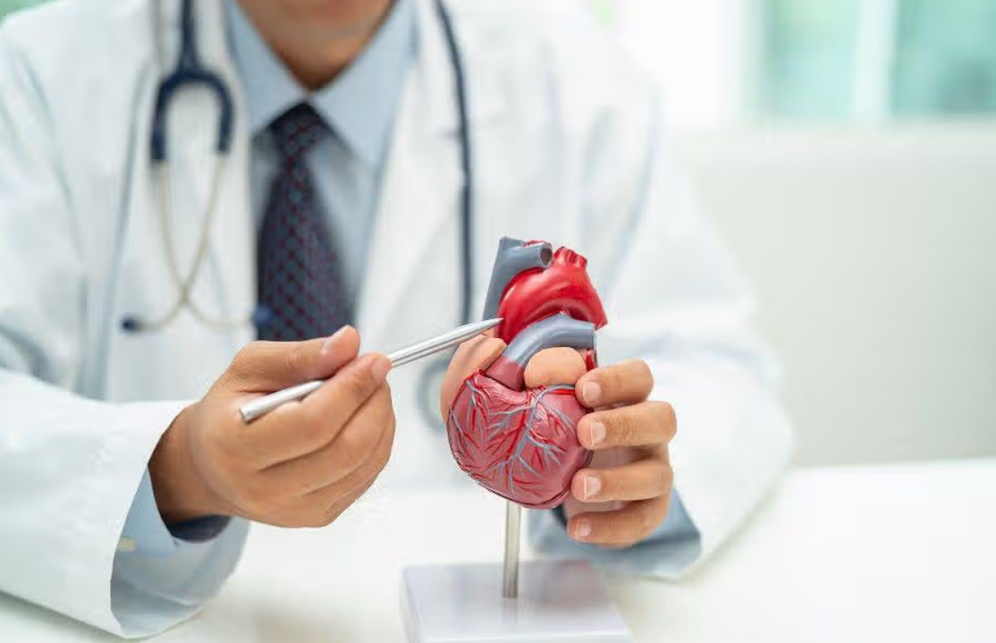 Ilustrasi Dokter Kesehatan Jantung