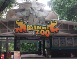 Taman Safari Indonesia Klarifikasi: Tidak Terkait Kasus Tipikor Bandung Zoo