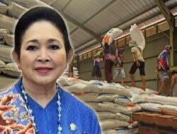 Sidak ke Gudang Bulog, Titiek Soeharto Temukan Beras Mengendap Lebih Setahun