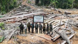 Gakkum Kemenhut & Satgas PKH Tindak Pembalakan Mentawai.