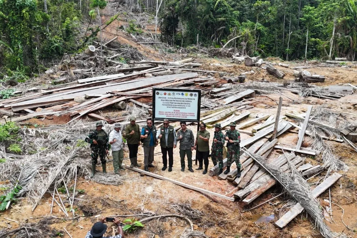 Gakkum Kemenhut & Satgas PKH Tindak Pembalakan Mentawai.