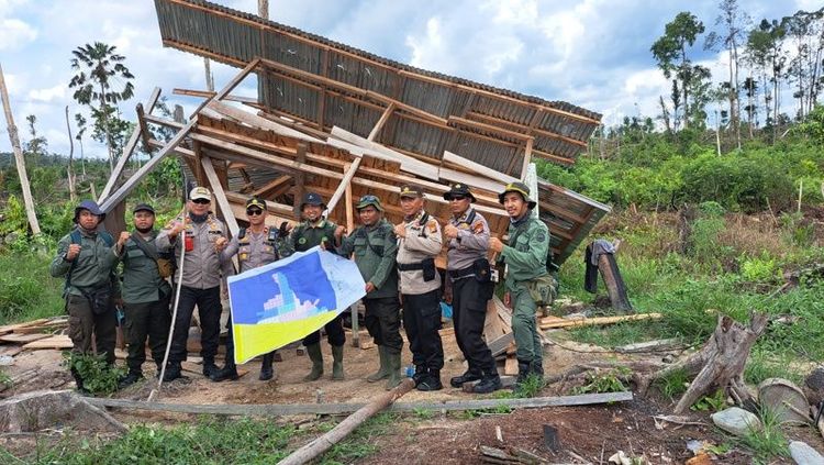 ILustrasi: Operasi Hutan Lestari: Polda Riau Tangkap Pelaku Perambah Hutan Bengkalis