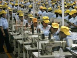 Pabrik Baru Tunas Esta Indonesia di Demak Siap Serap Ribuan Tenaga Kerja dan Dongkrak Ekspor Sarang Burung Walet ke China