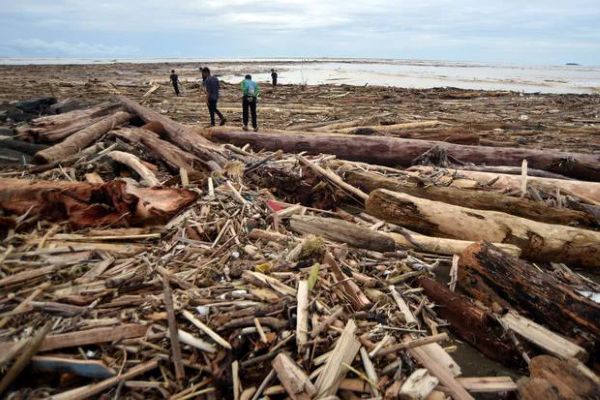 Banjir Besar Sumatra Picu Warganet Serius Ajak Patungan Beli Hutan