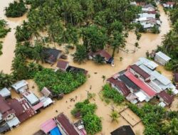 Bencana Banjir Aceh-Sumatra Rugikan Petani, 40 Ribu Hektare Lahan Terendam