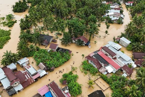 Bencana Banjir Aceh-Sumatra Rugikan Petani, 40 Ribu Hektare Lahan Terendam