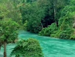 Viral Air Danau Singkarak Jernih Kebiruan di Tengah Banjir Sumatra