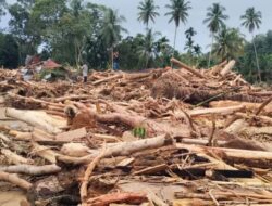 Gelondongan Kayu di Banjir Sumatra Jadi Sorotan, KLHK Telusuri Jejak 8 Perusahaan